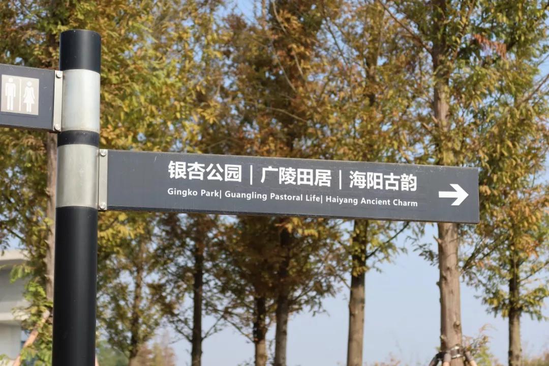 周末有事做 | 浓浓秋意冷，暖暖杏叶黄