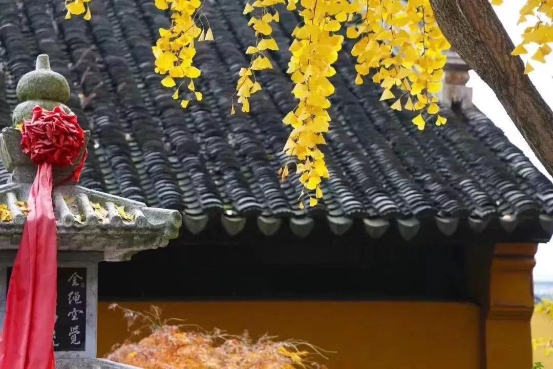 这个时节的光福，只看一眼便会爱上……