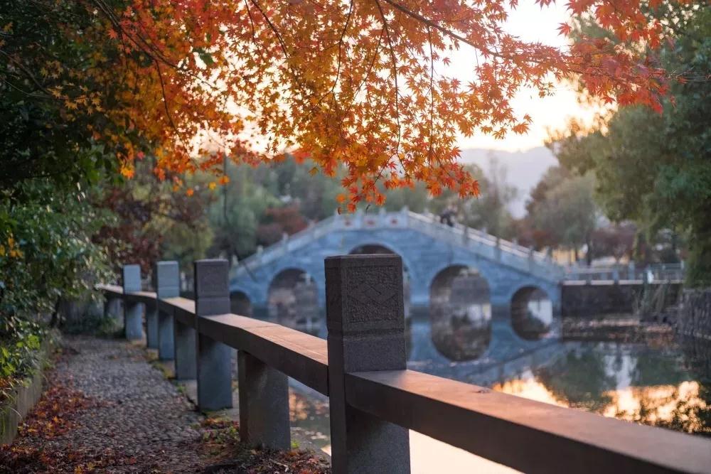 天平山太挤，来旺山正好、真好
