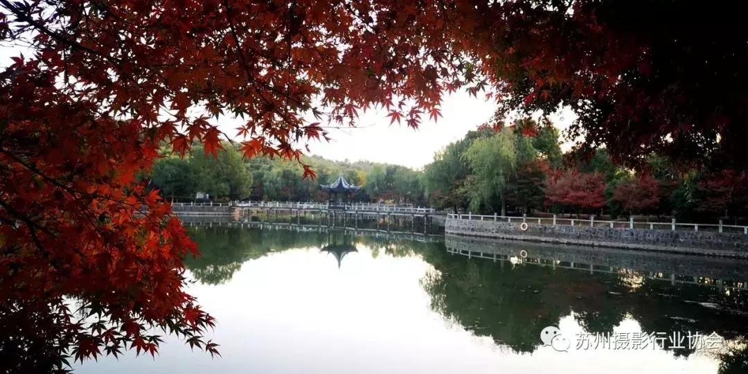 天平山太挤，来旺山正好、真好