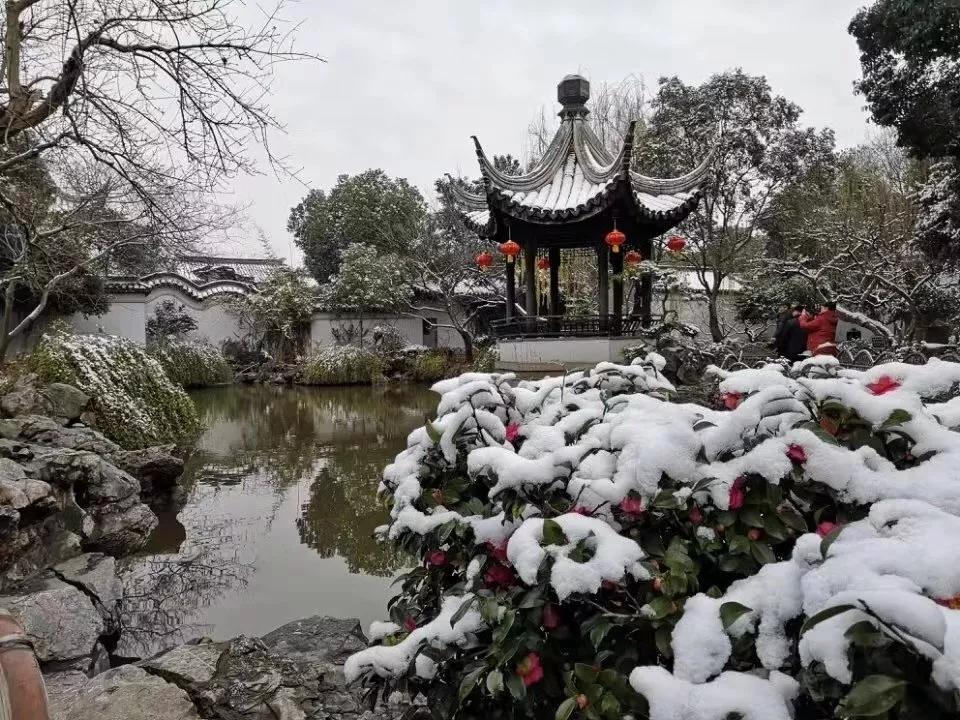2019，最后一月的畅想