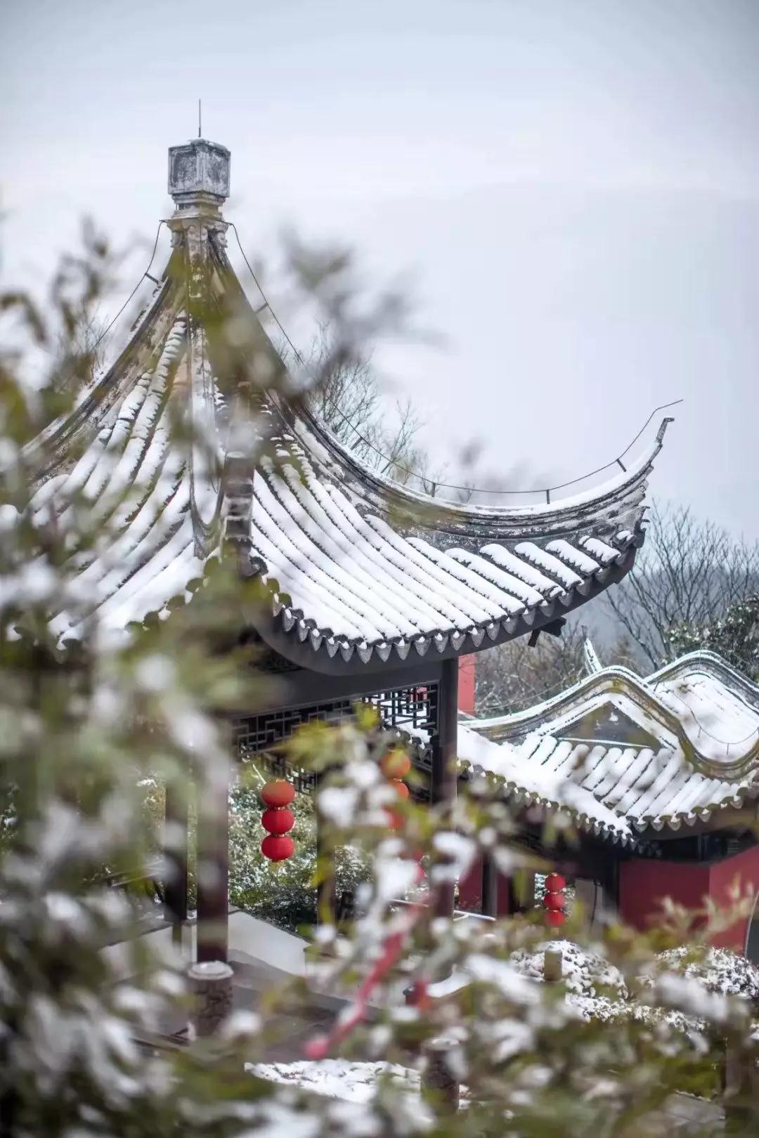 2019，最后一月的畅想