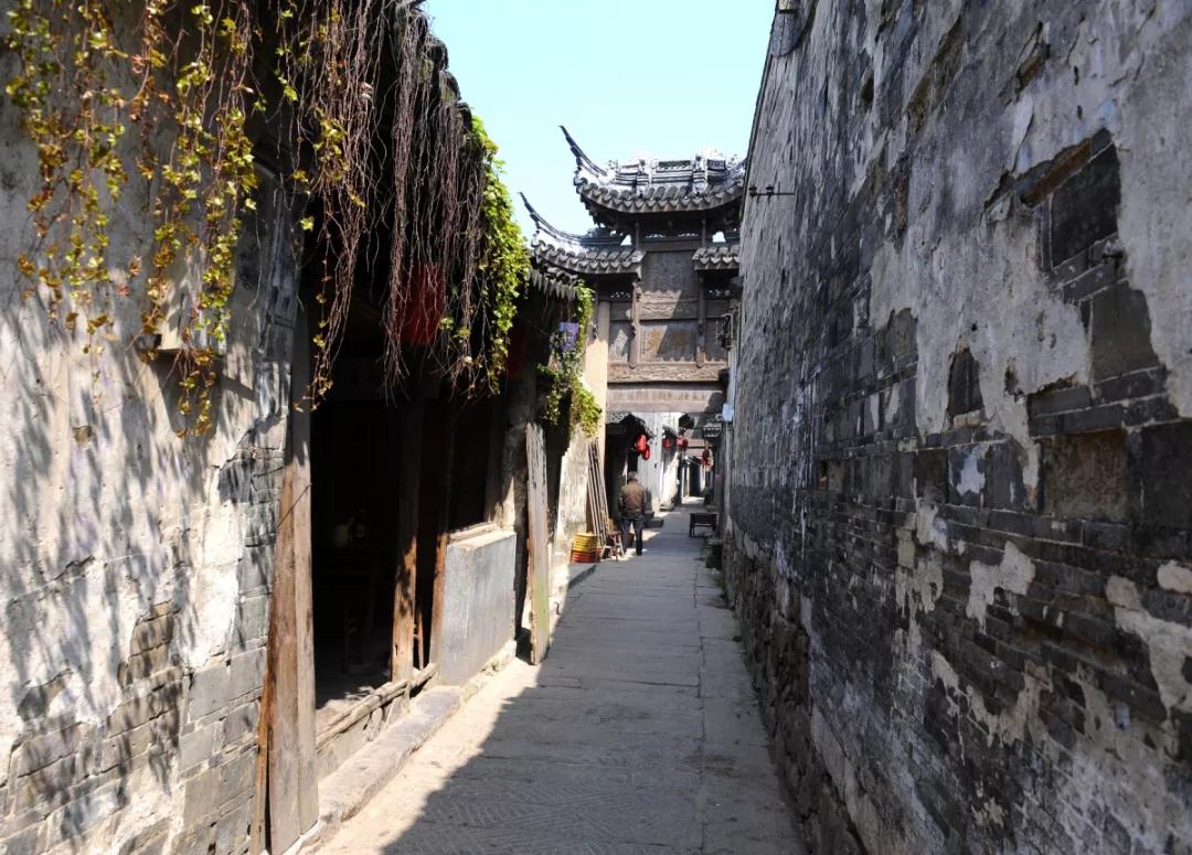 周末有事做 | 于画栋雕梁里，寻访古建中的悠悠苏韵