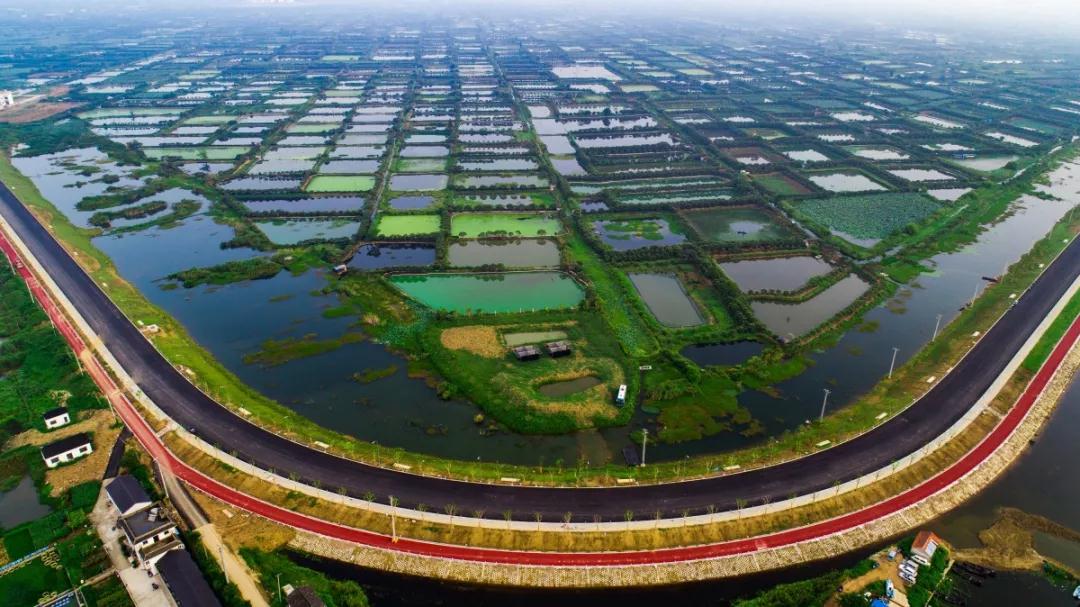 周末有事做 | 2020年的第一个周末，我们去徒步吧