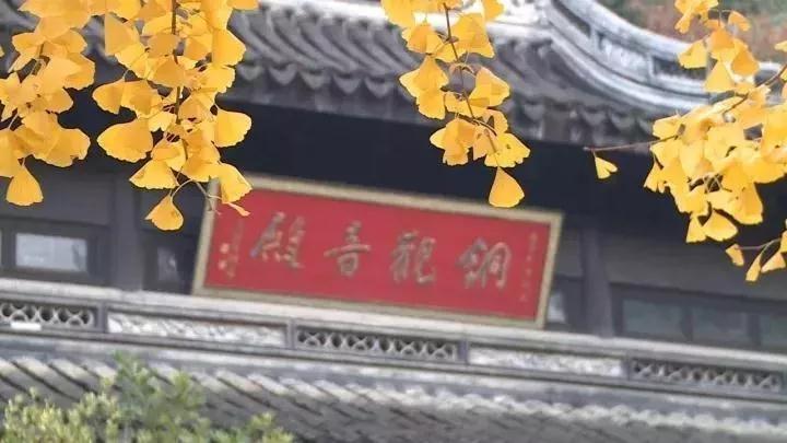 这是吴中的冬天，与萧瑟无关，和色彩作伴