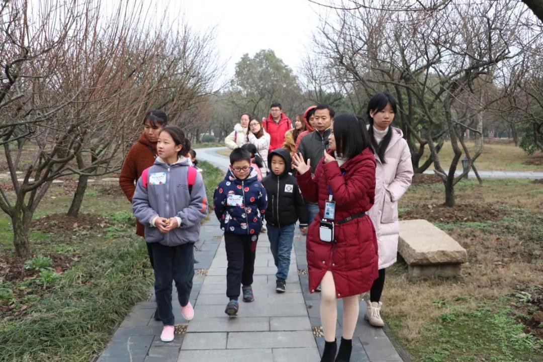 在香雪海，遇见寒冬里的一抹亮色