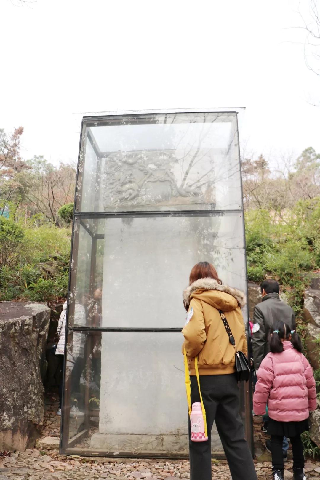 在香雪海，遇见寒冬里的一抹亮色