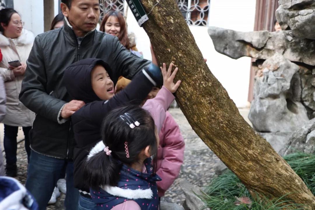 在香雪海，遇见寒冬里的一抹亮色