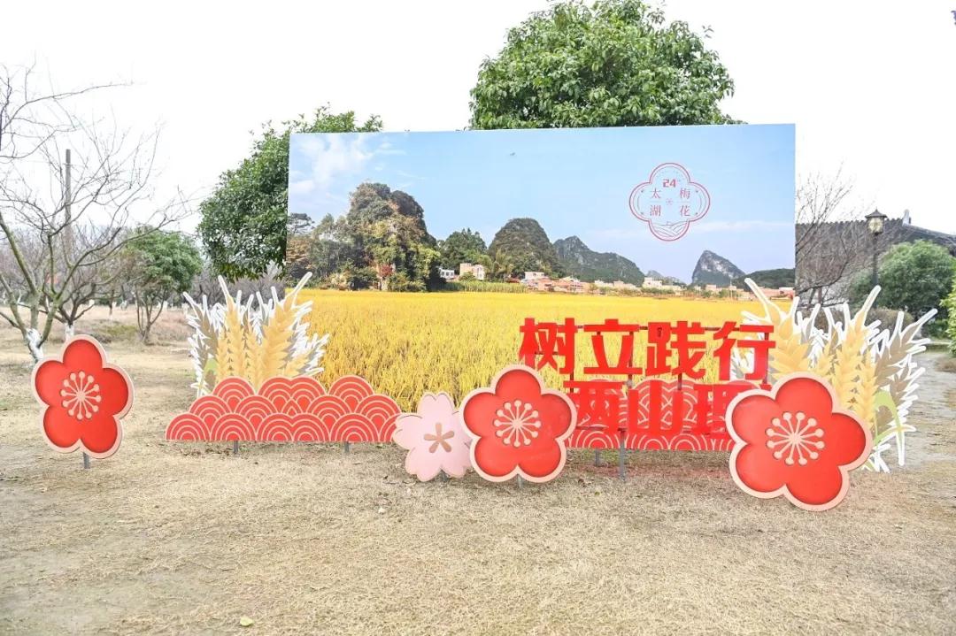 “畅游林屋梅海 乐享岛居生活”第24届苏州太湖西山梅花节盛大开幕！