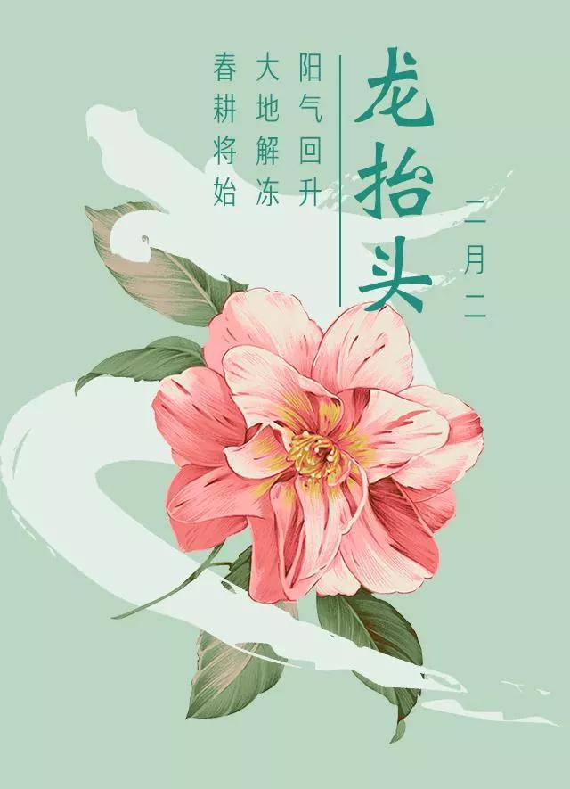 二月二龙抬头！这件事不建议马上做…