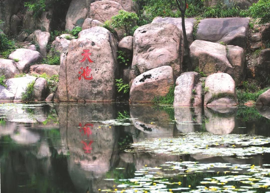 足不出户“云”游吴中，坐等一场春暖花开！