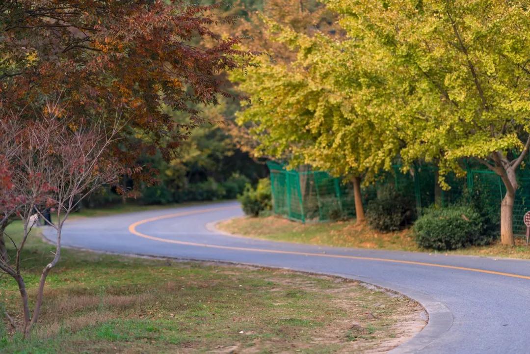 旺山景区、太湖园博园有序恢复开放！