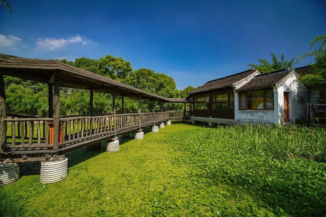 旺山景区、太湖园博园有序恢复开放！