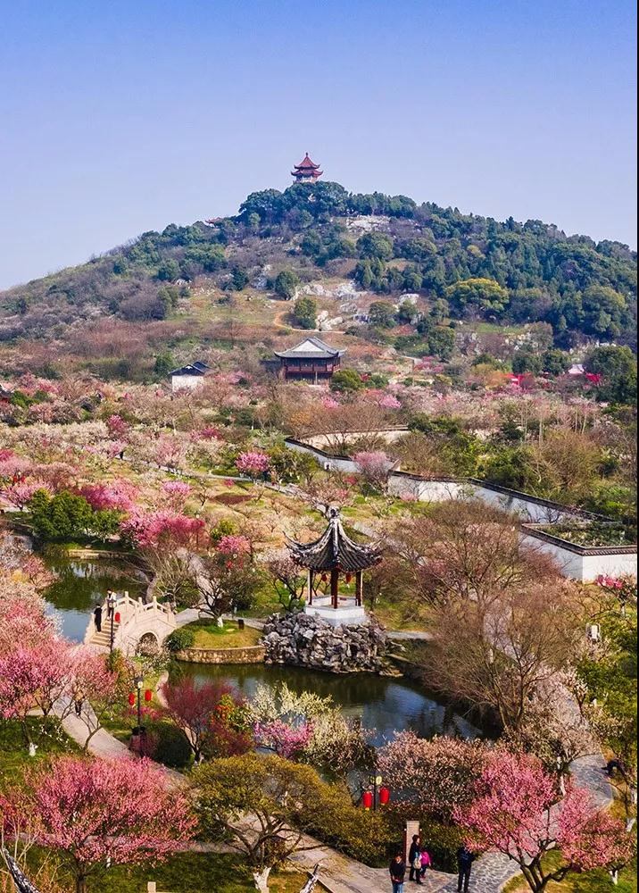 春日西山美如画，一起“云”游吧