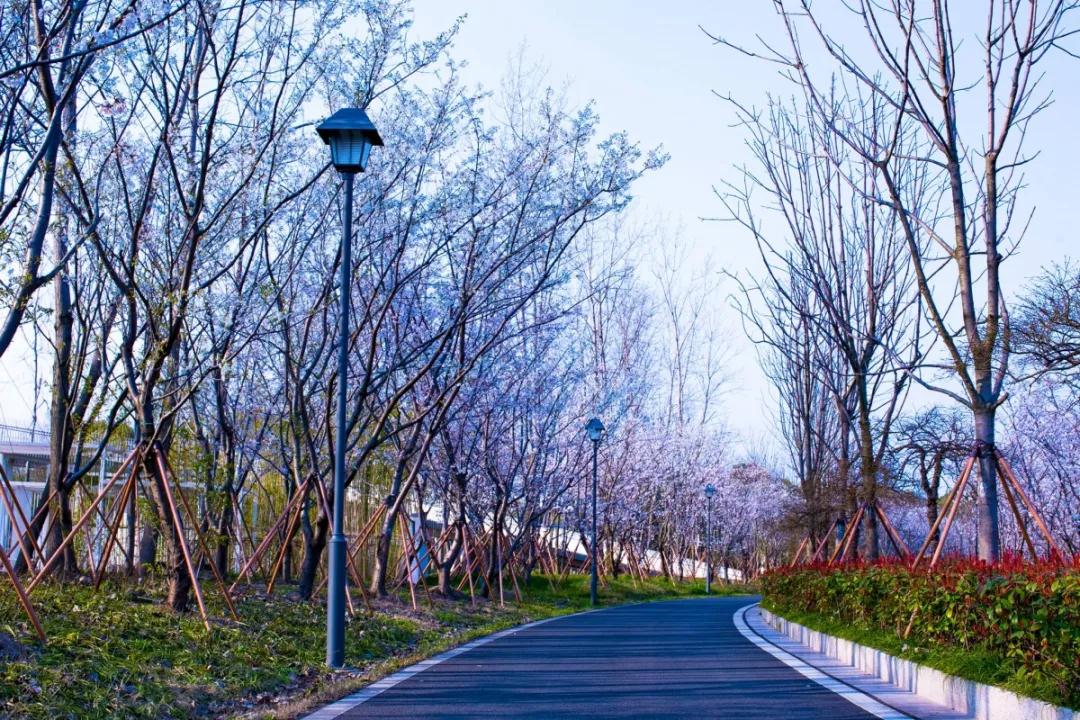 愿春来疫去，再踏吴中山水碧庭