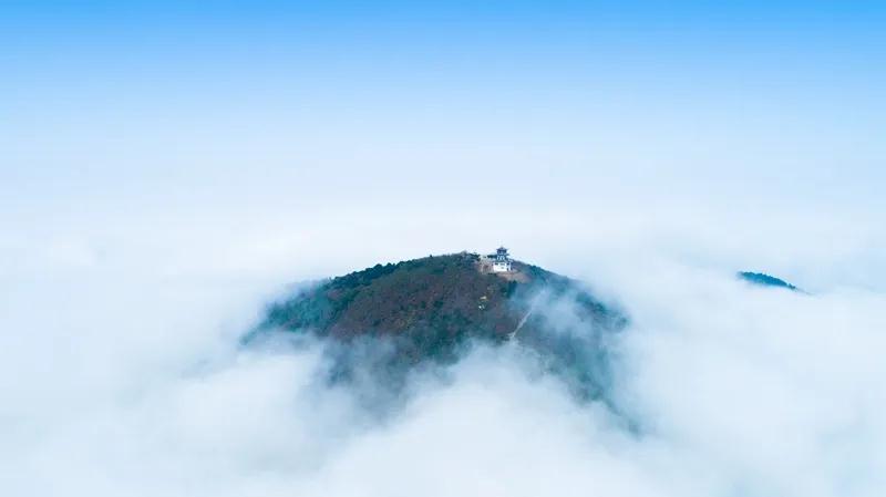 愿春来疫去，再踏吴中山水碧庭
