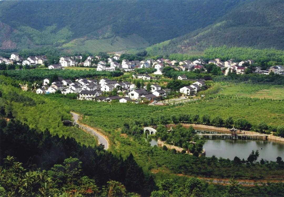 愿春来疫去，再踏吴中山水碧庭