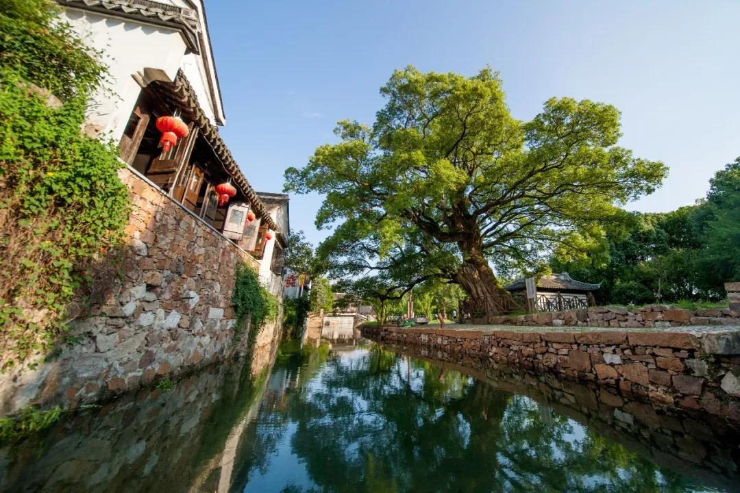 愿春来疫去，再踏吴中山水碧庭