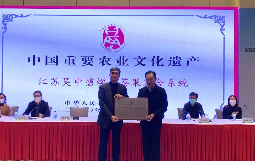 权威发布！碧螺春价格、上市时间正式公布