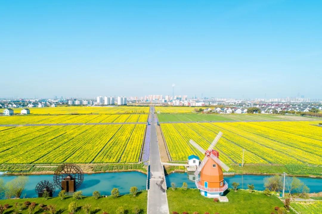 陌上花开，满枝馥郁，愿与你共赴春风之约