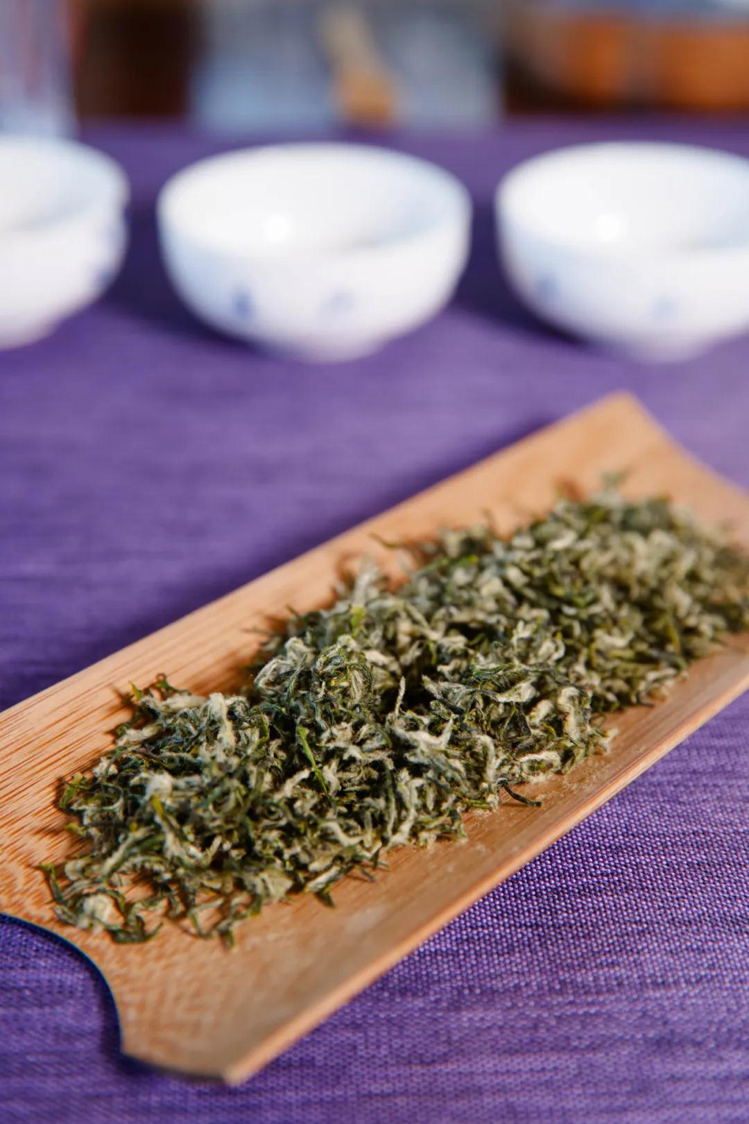 寻味碧螺 | 一杯碧螺春，茶香醉春光！