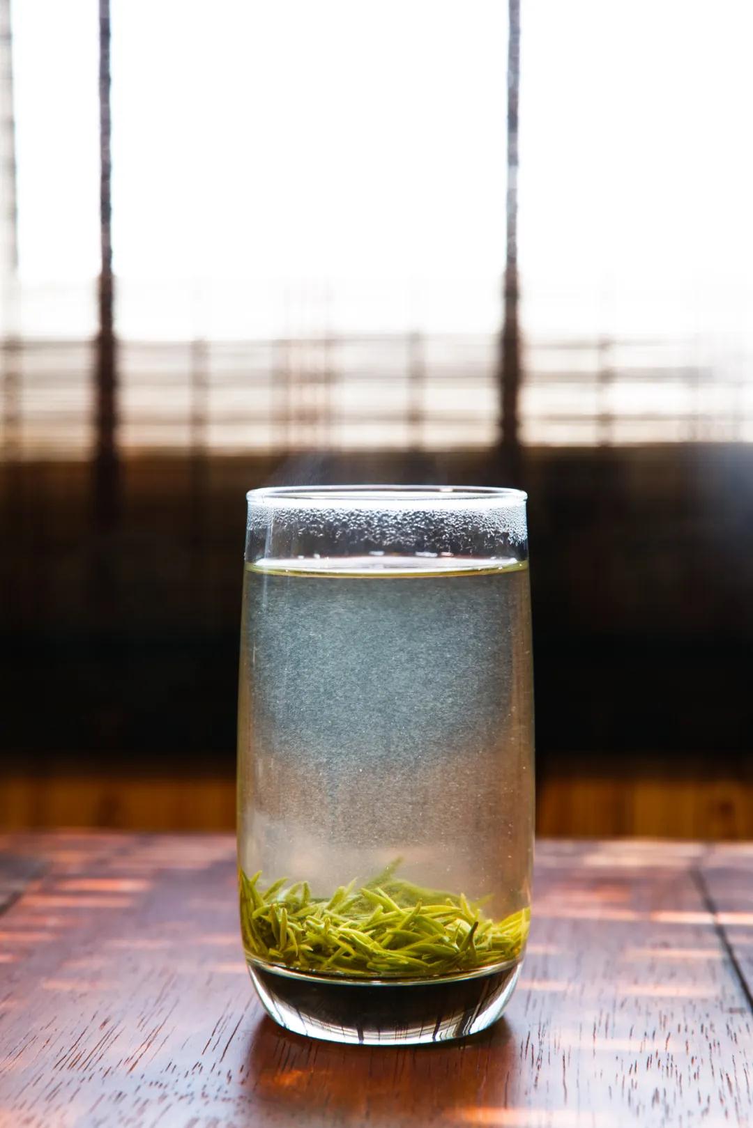 寻味碧螺 | 一杯碧螺春，茶香醉春光！