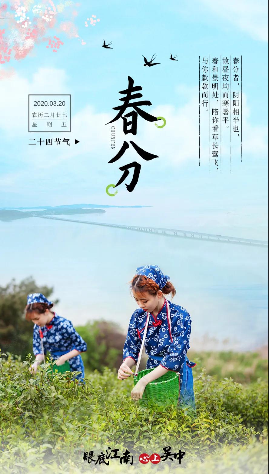 缓慢走过春日里的一天，与你一道平分春色