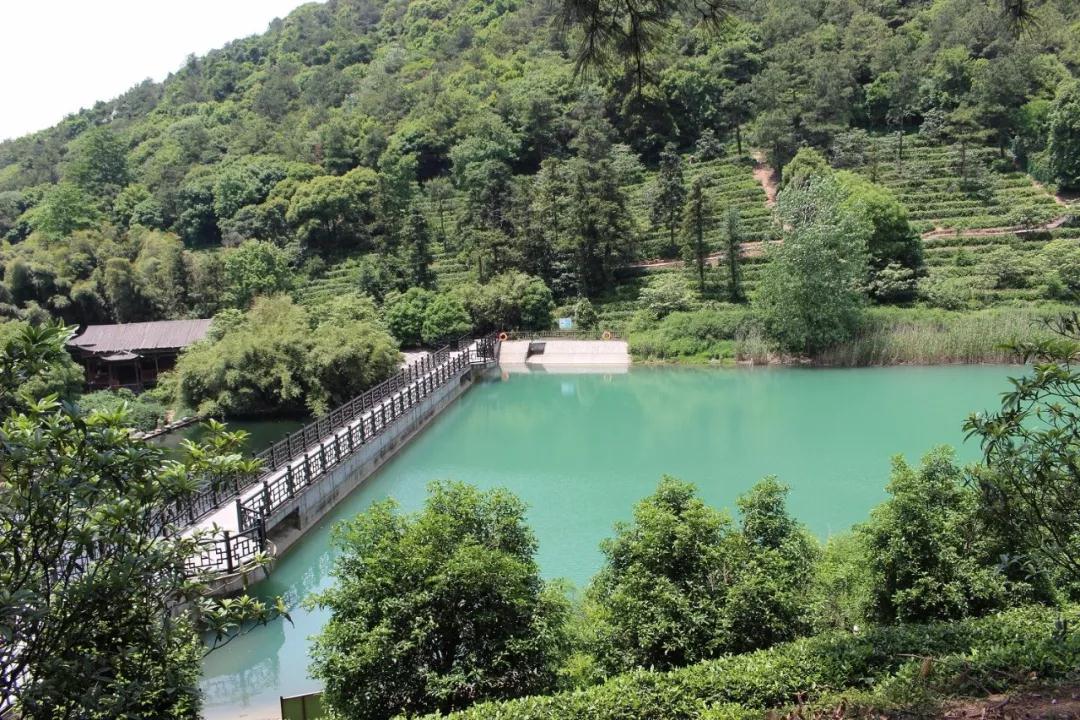在美丽的春天，做可爱的事儿