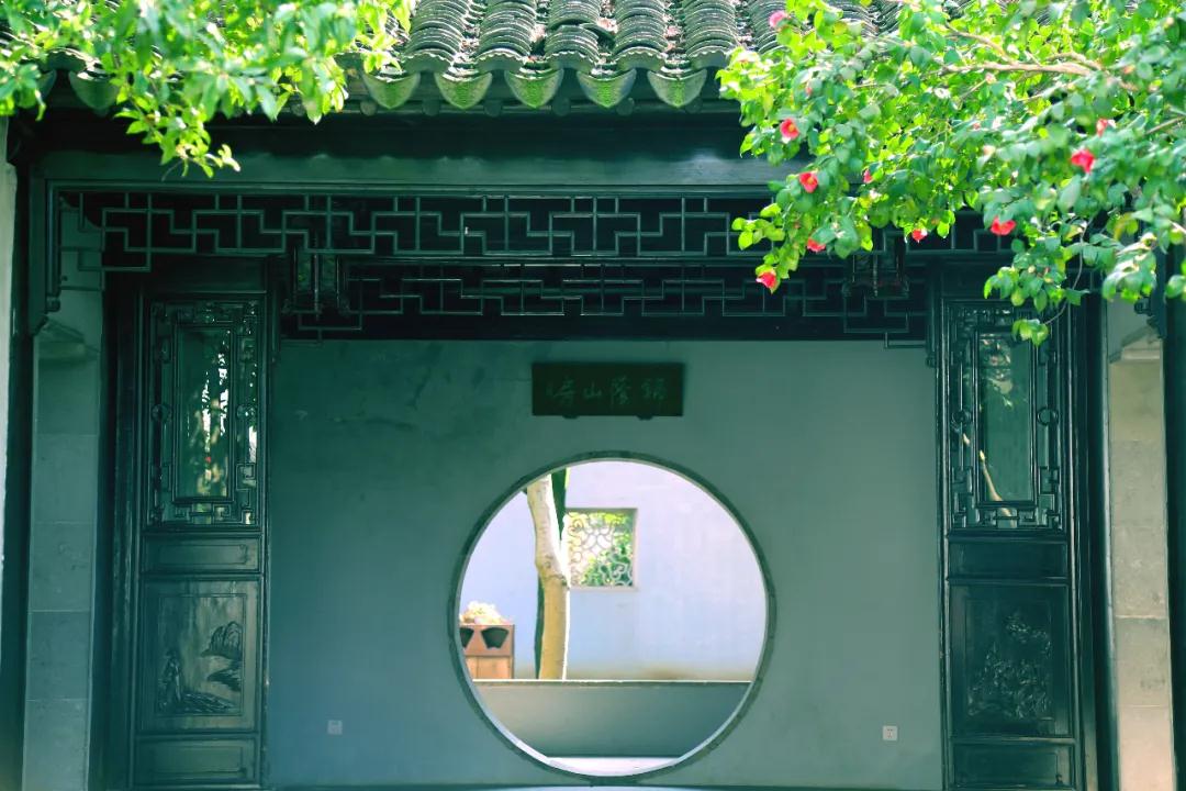 悦享太湖 | 俏江南！每一张都可以做“屏保”