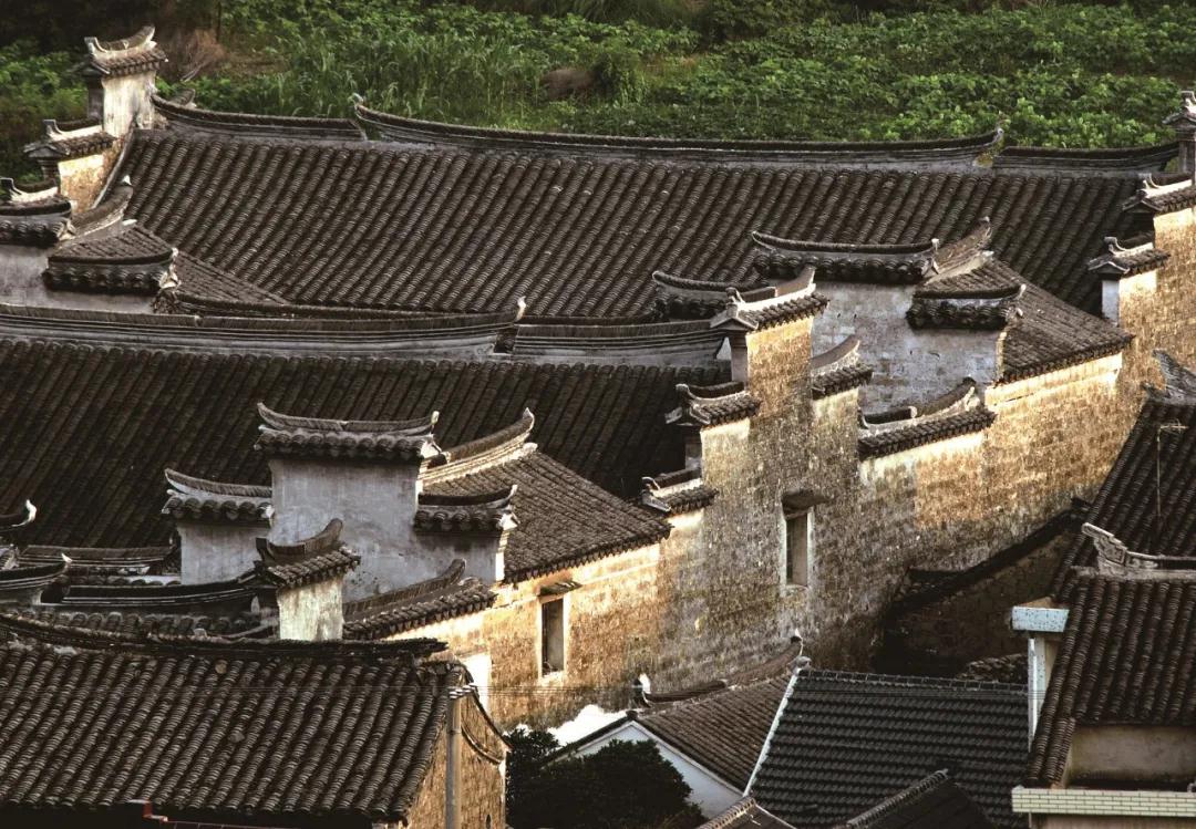 悦享太湖 | 俏江南！每一张都可以做“屏保”
