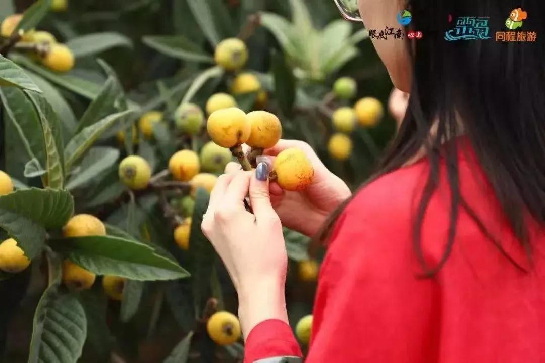 2020苏州吴中太湖文化旅游节云开幕，优惠享不停！