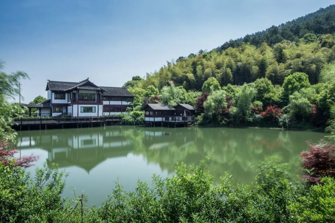 听说春日出行，画风是这样的