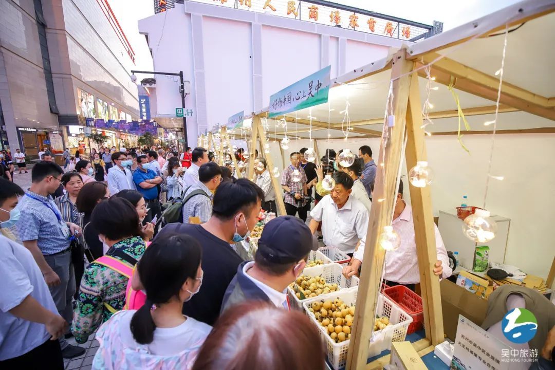 太湖时令枇杷采摘季，你想要的都在这里！