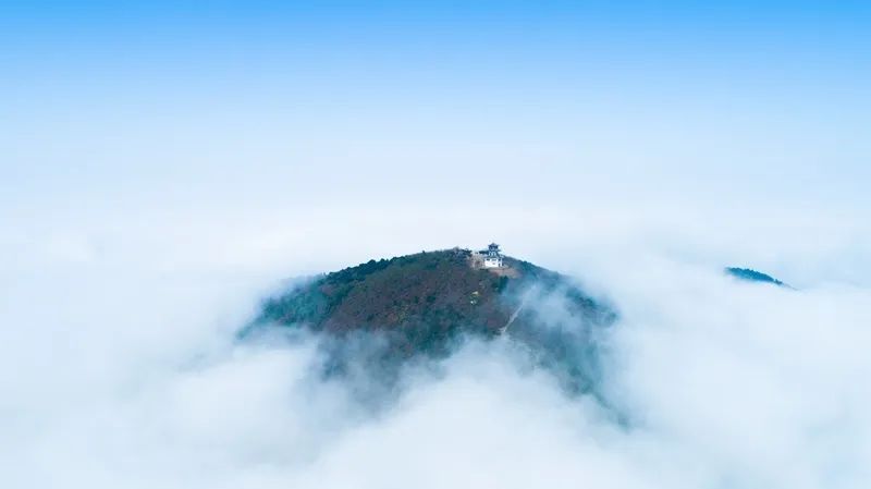 太湖时令枇杷采摘季，你想要的都在这里！