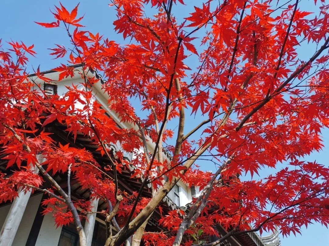 隐山居：遇见心中的诗和远方
