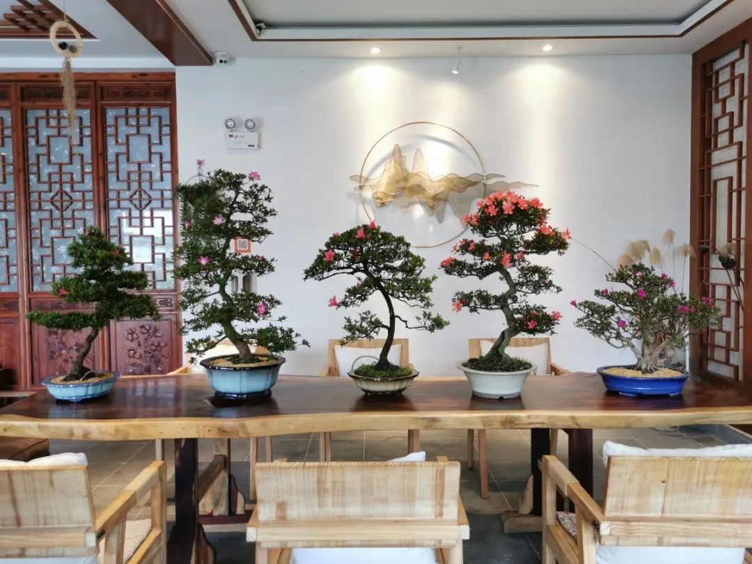 隐山居：遇见心中的诗和远方