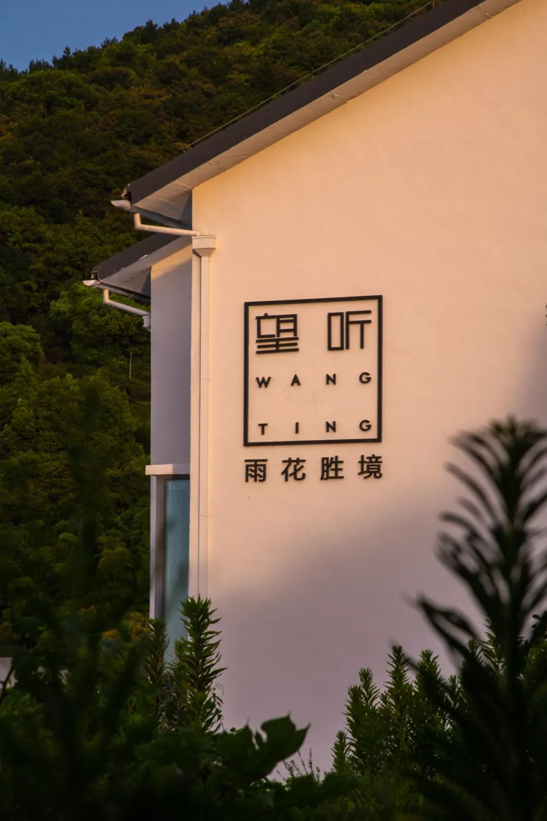 诗意栖居丨在望听，遇见心灵的栖息之所