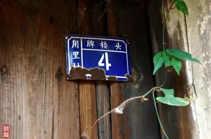 姑苏八点半，在太湖边你能做什么？