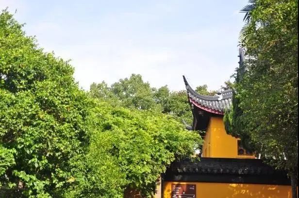 走过古镇桥梁，寻觅一百八十年的江南味道