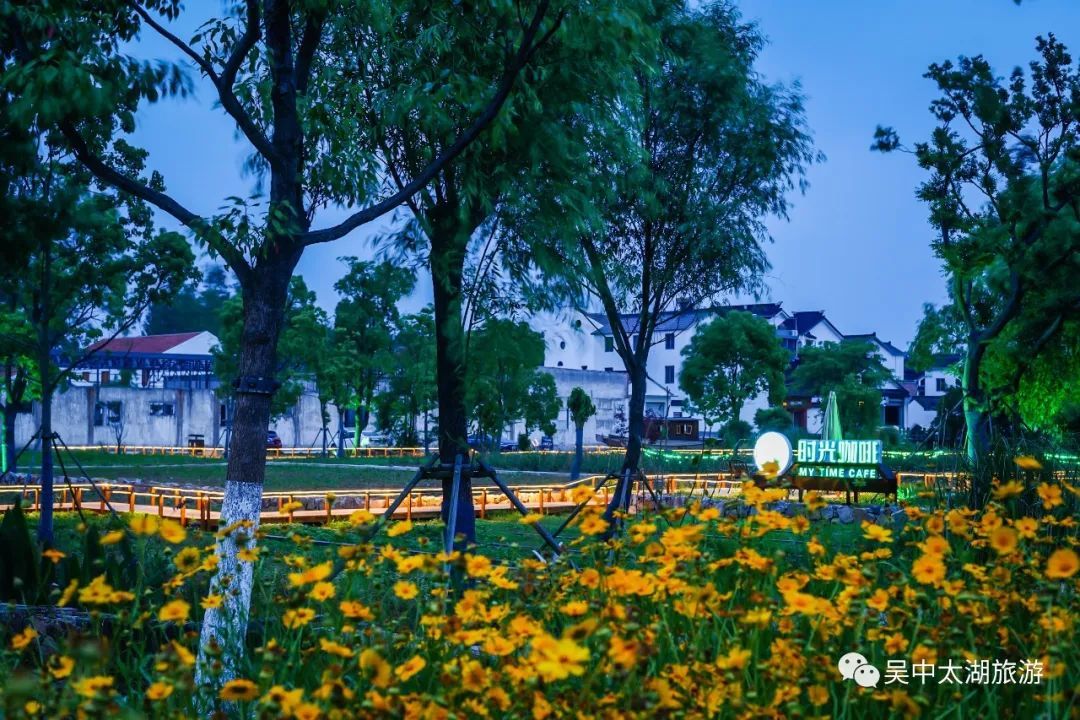 今夜“吴”眠丨夜色临湖，等你来撩！