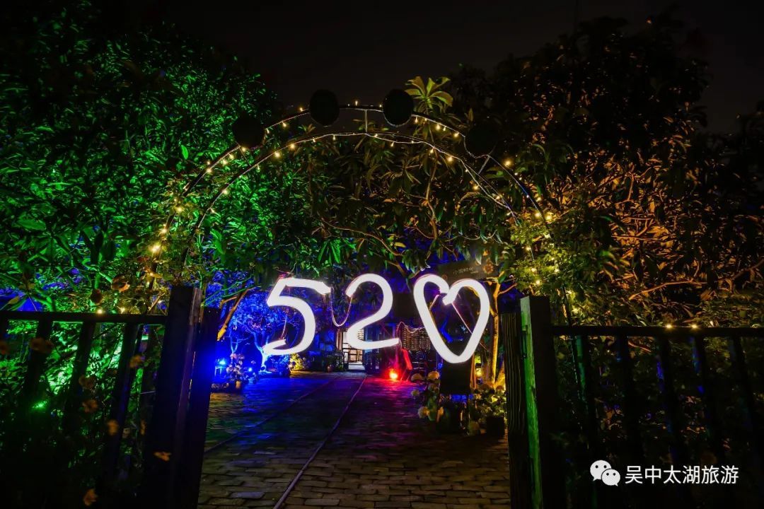 今夜“吴”眠丨夜色临湖，等你来撩！