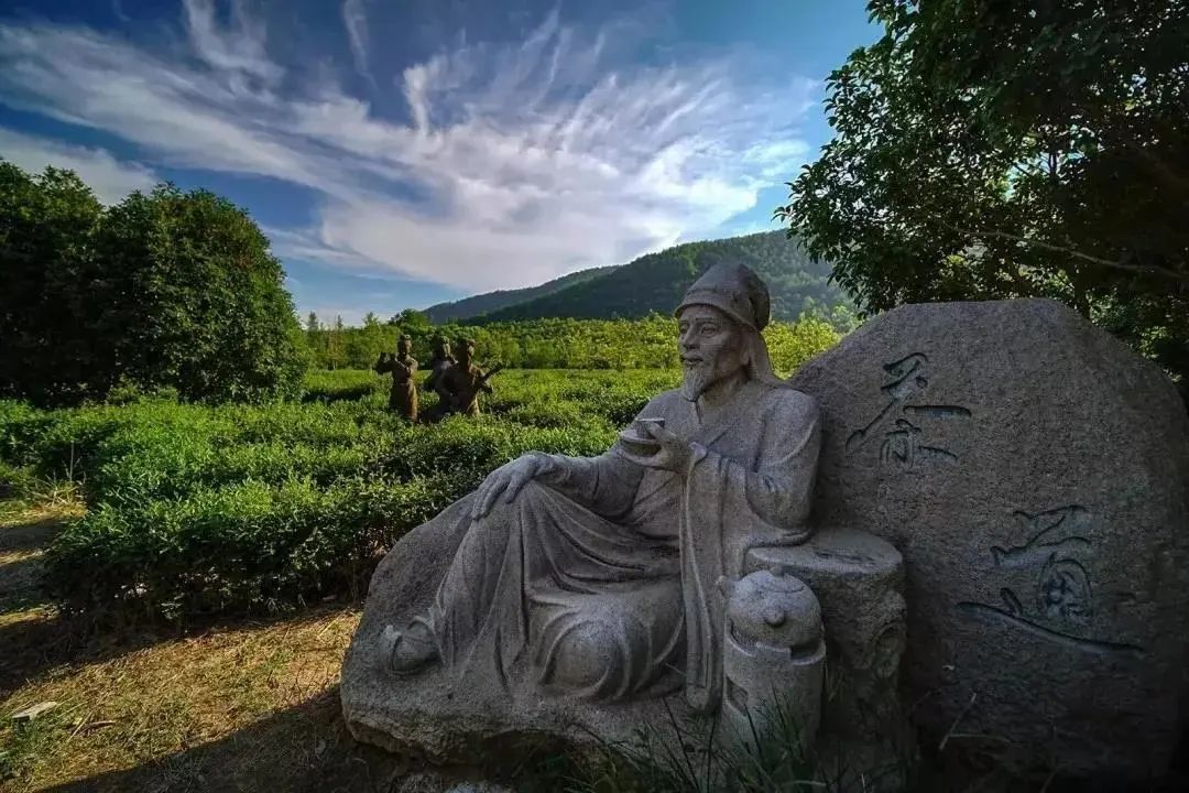 来旺山西坞学制茶，倾听九龙潭潺潺水声