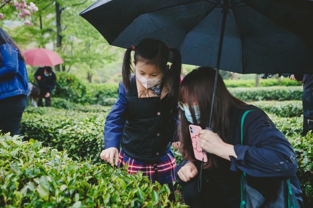 来旺山西坞学制茶，倾听九龙潭潺潺水声