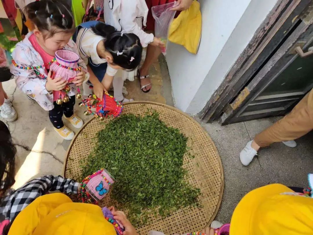 来旺山西坞学制茶，倾听九龙潭潺潺水声