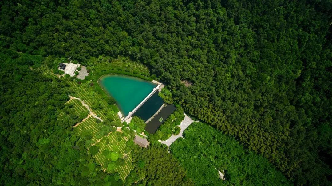 来旺山西坞学制茶，倾听九龙潭潺潺水声