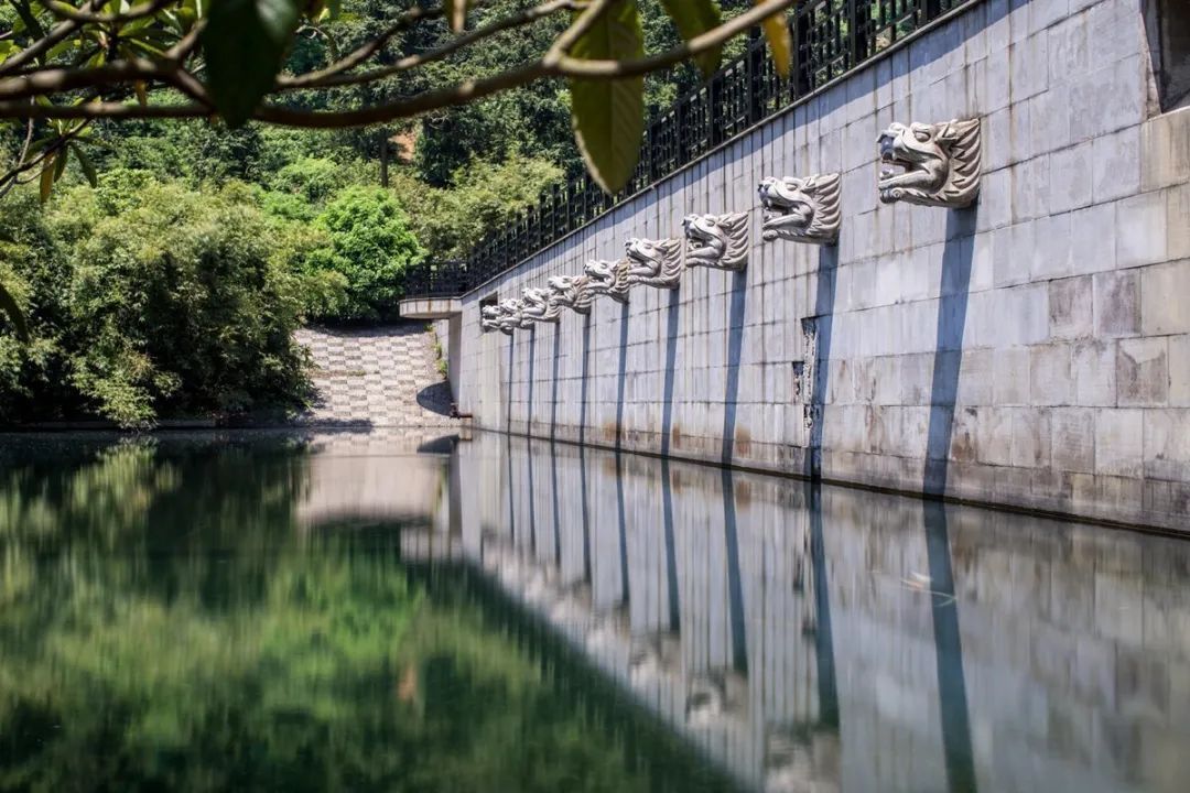 来旺山西坞学制茶，倾听九龙潭潺潺水声