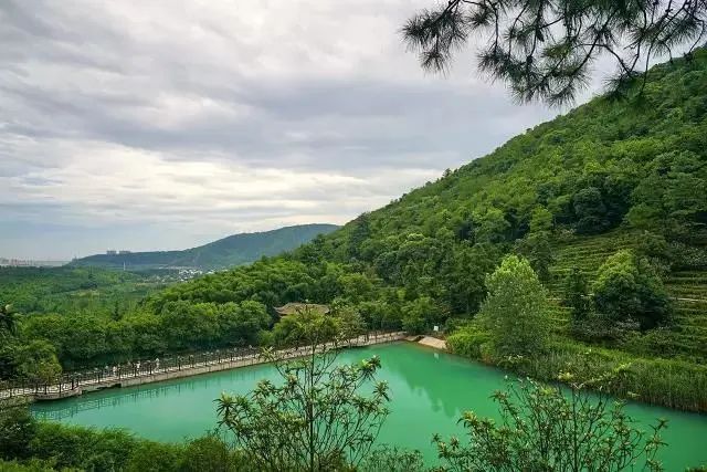 来旺山西坞学制茶，倾听九龙潭潺潺水声