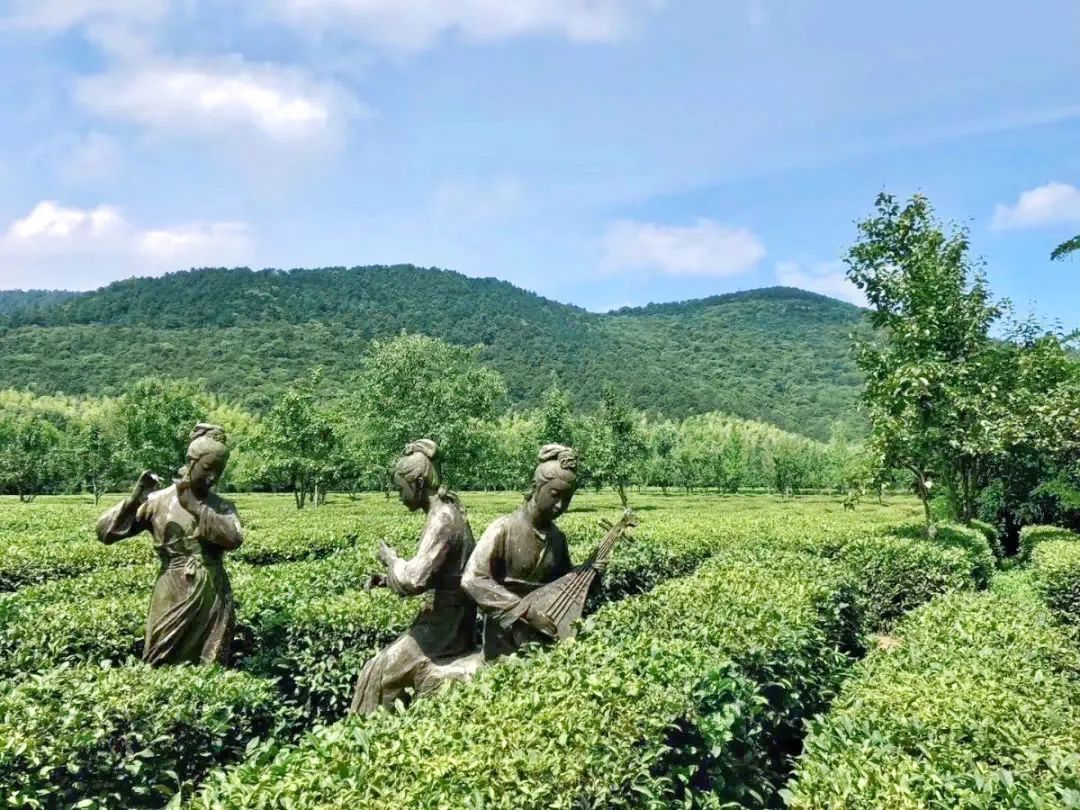 活动回顾丨在旺山遇见夏日的美好！