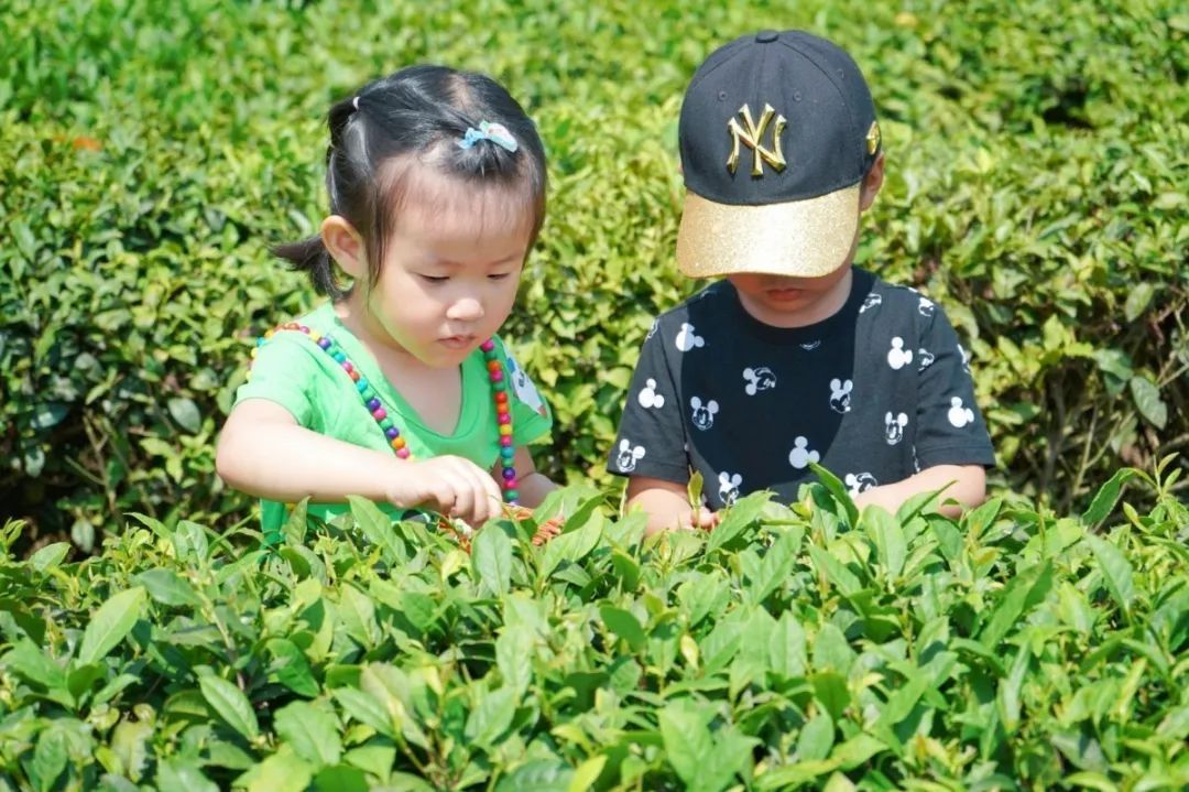 活动回顾丨在旺山遇见夏日的美好！