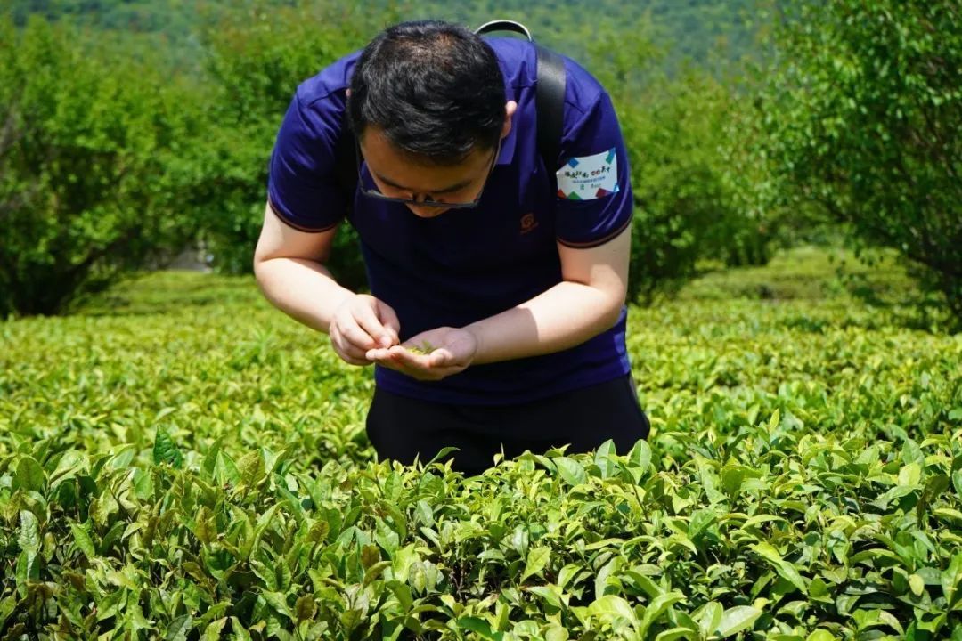 活动回顾丨在旺山遇见夏日的美好！